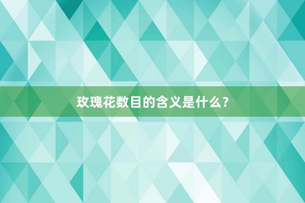 玫瑰花数目的含义是什么？